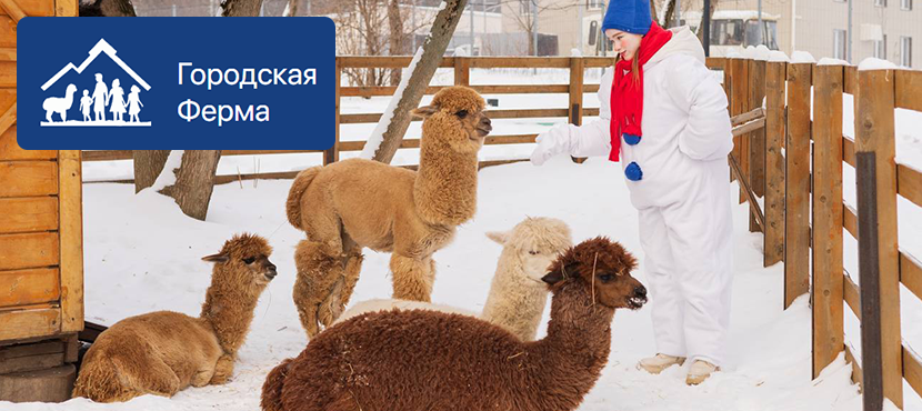 Городская ферма на ВДНХ