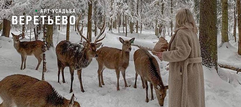 Арт-усадьба Веретьево