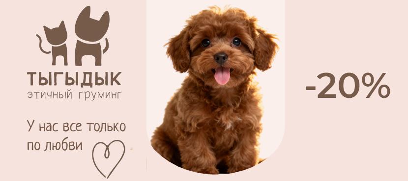 Тыгыдык - Этичный груминг в Москве