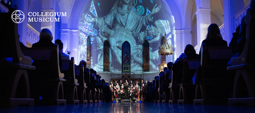 Концерты Collegium Musicum
